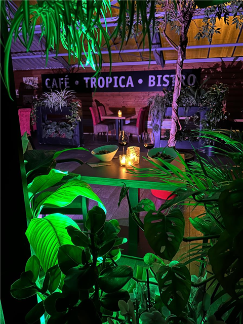 TROPIC-JUNGLE-NIGHT (27.01.2024, 19:00 - ca.22:30)