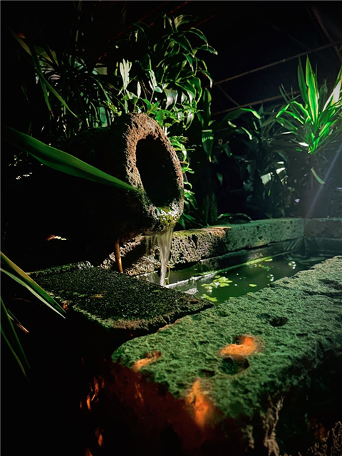 TROPIC-JUNGLE-NIGHT (27.01.2024, 19:00 - ca.22:30)