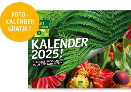 Foto-Kalender 2025