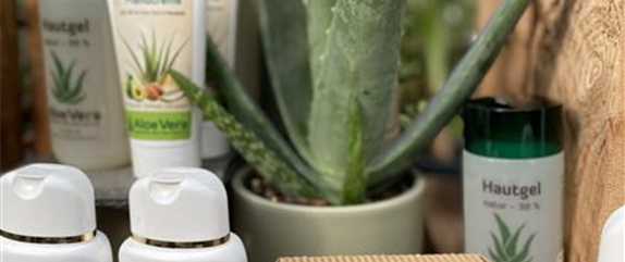 Aloe vera - Die Apotheke aus der Natur